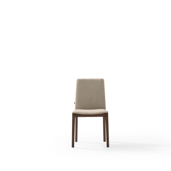 Solina Dining Chair