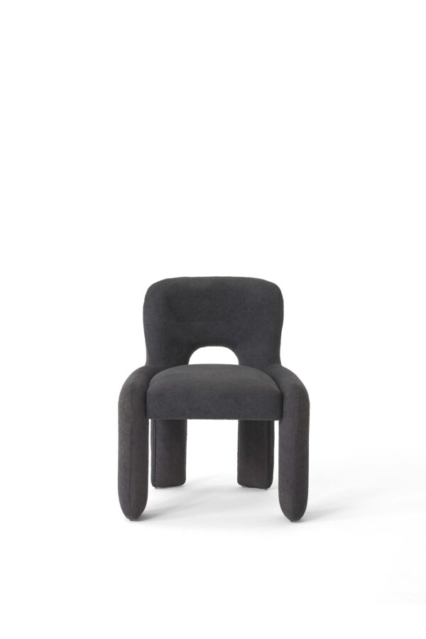 Shorely Dining Chair