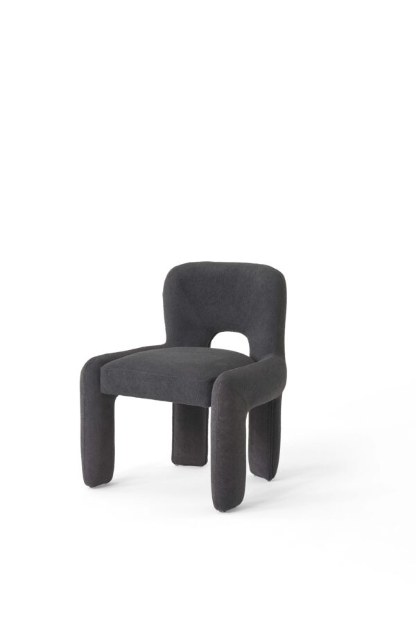 Shorely Dining Chair