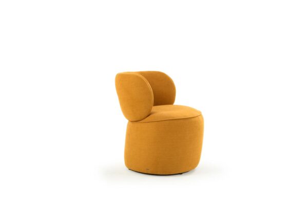 Arlo Lounge Chair