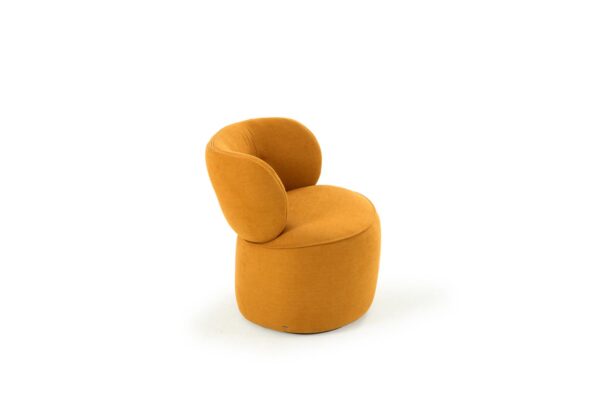 Arlo Lounge Chair