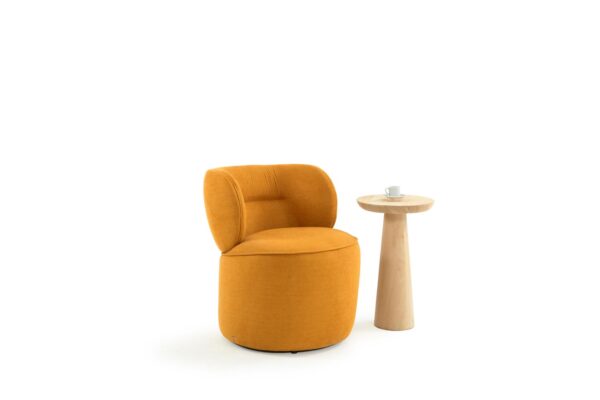 Arlo Lounge Chair